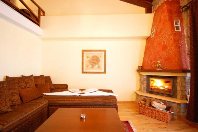 Vasilitsa Spa Resort 그레베나 객실 사진