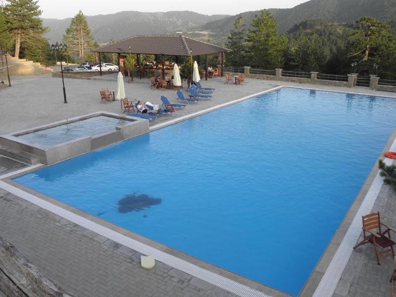 Vasilitsa Spa Resort 그레베나 외부 사진